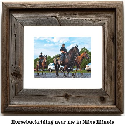 horseback riding near me in Niles, Illinois